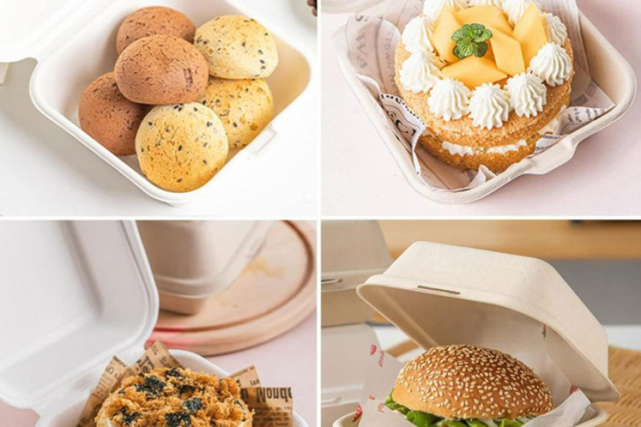 Sugarcane Burger Box 450 ml